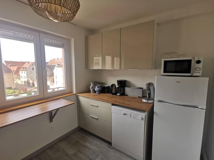 Logement Colmar Centre Avec Parking Eksteriør billede